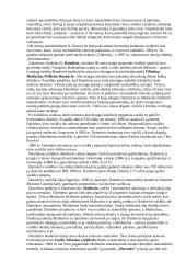 Pirmieji automobiliai 4 puslapis