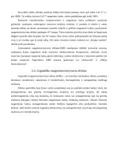 Pirminiai matavimo keitliai naudojami magnetiniuose matavimuose 11 puslapis