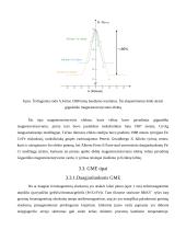 Pirminiai matavimo keitliai naudojami magnetiniuose matavimuose 12 puslapis