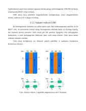 Pirminiai matavimo keitliai naudojami magnetiniuose matavimuose 13 puslapis