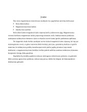 Pirminiai matavimo keitliai naudojami magnetiniuose matavimuose 3 puslapis