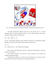 Pirminiai matavimo keitliai naudojami magnetiniuose matavimuose 5 puslapis