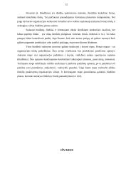 Planavimo analizė 12 puslapis