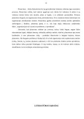 Planavimo analizė 13 puslapis