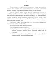 Planavimo analizė 3 puslapis