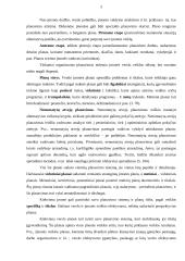 Planavimo analizė 5 puslapis