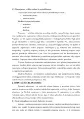 Planavimo analizė 8 puslapis