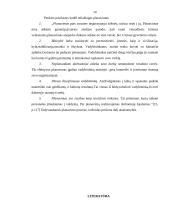 Planavimo reikšmė bei modelis, planų rūšys 13 puslapis