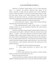 Planavimo reikšmė bei modelis, planų rūšys 3 puslapis