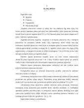 Planavimo reikšmė bei modelis, planų rūšys 5 puslapis