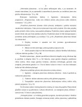 Planavimo reikšmė bei modelis, planų rūšys 7 puslapis