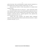 Planavimo reikšmė bei modelis, planų rūšys 8 puslapis