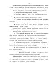 Planavimo reikšmė bei modelis, planų rūšys 9 puslapis