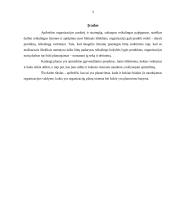 Planavimas ir jo barjerai 3 puslapis