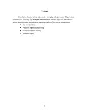 Planavimas ir strateginis valdymas 3 puslapis