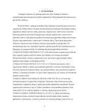 Planavimas ir strateginis valdymas 4 puslapis