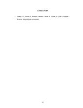 Planavimas ir strateginis valdymas 10 puslapis