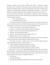 Strateginis planavimas bei strateginis valdymas 5 puslapis