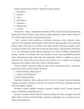 Strateginis planavimas bei strateginis valdymas 6 puslapis