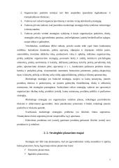 Strategijos samprata ir strateginis planavimas 7 puslapis