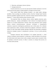 Strategijos samprata ir strateginis planavimas 8 puslapis