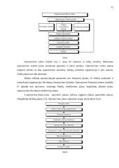 Planavimas. Strateginis planavimas 12 puslapis