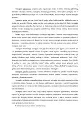 Planavimas. Strateginis planavimas 14 puslapis