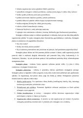 Planavimas. Strateginis planavimas 15 puslapis