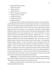 Planavimas. Strateginis planavimas 16 puslapis