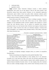 Planavimas. Strateginis planavimas 19 puslapis