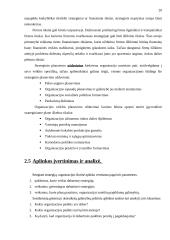 Planavimas. Strateginis planavimas 20 puslapis