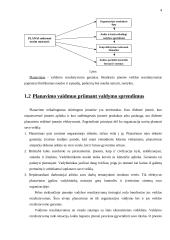 Planavimas. Strateginis planavimas 4 puslapis