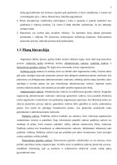 Planavimas. Strateginis planavimas 5 puslapis