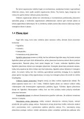 Planavimas. Strateginis planavimas 6 puslapis