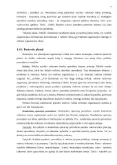 Planavimas. Strateginis planavimas 7 puslapis