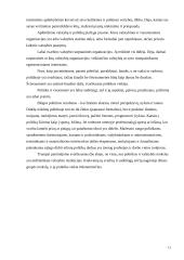 Politika ir valdžia 13 puslapis