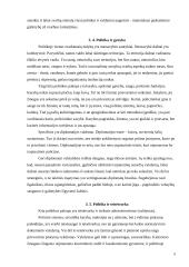 Politika ir valdžia 8 puslapis