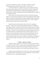 Politika ir valdžia 10 puslapis