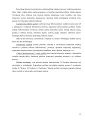 Politikos mokslas kaip socialinis mokslas 12 puslapis