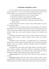 Politikos mokslas kaip socialinis mokslas 13 puslapis