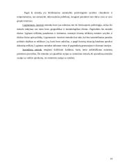 Politikos mokslas kaip socialinis mokslas 14 puslapis