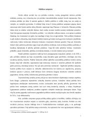 Politikos mokslo ištakos bei raida 4 puslapis