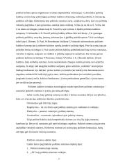 Politinės kultūros apibrėžimas ir įtakingiausios politinės kultūros sampratos ir jų raidos ypatumai 2 puslapis