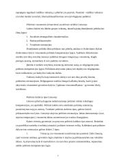 Politinės kultūros apibrėžimas ir įtakingiausios politinės kultūros sampratos ir jų raidos ypatumai 7 puslapis