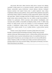 Politinės kultūros samprata ir esmė Lietuvoje 13 puslapis