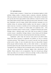 Politinės kultūros samprata ir esmė Lietuvoje 14 puslapis