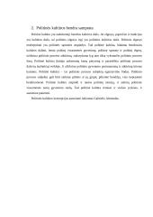 Politinės kultūros samprata ir esmė Lietuvoje 3 puslapis