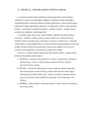 Politinės kultūros samprata ir esmė Lietuvoje 4 puslapis