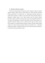 Politinės kultūros samprata ir esmė Lietuvoje 5 puslapis