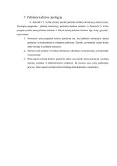 Politinės kultūros samprata ir esmė Lietuvoje 8 puslapis